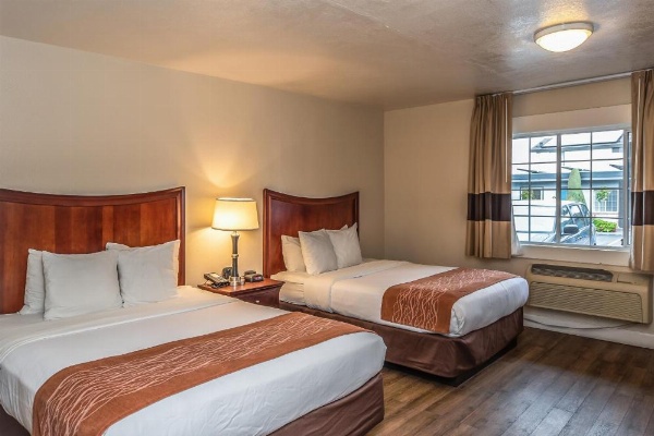 Blu Pacific Hotel image 26