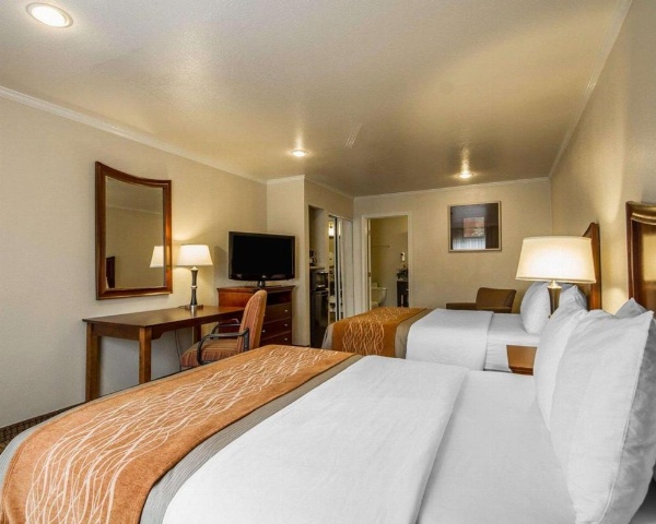 Blu Pacific Hotel image 30