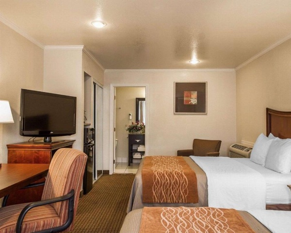 Blu Pacific Hotel image 32