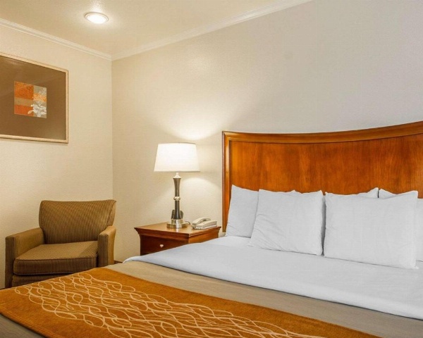 Blu Pacific Hotel image 5