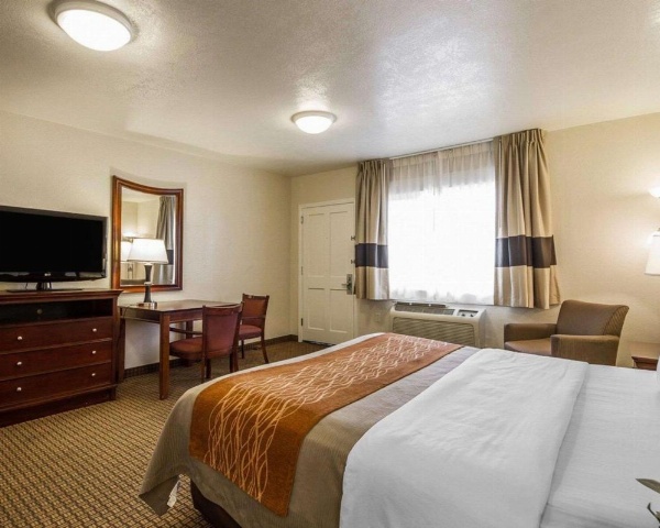 Blu Pacific Hotel image 43