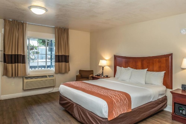 Blu Pacific Hotel image 9